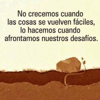 FRASES DE MOTIVACIÓN (@fdmotivacion1) 's Twitter Profile Photo FRASES DE MOTIVACIÓN (@fdmotivacion1) 's Twitter Profile Photo