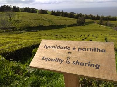 Un destino, millóns de camiños...
Compartimos as nosas aventuras e desventuras en https://t.co/qNOeuffdad