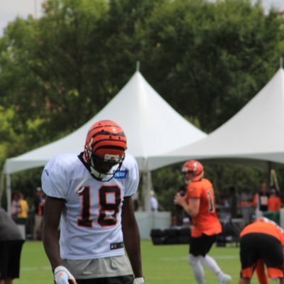 CalVSports's profile picture. Opinions are not facts, always remember that in a debate. Buckeyes, Bengals, Reds, Crew, Wizardsish, #COYS, Jackets.