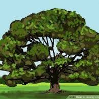 Gillibrand Sycamore Class (@gpssycamore) 's Twitter Profile