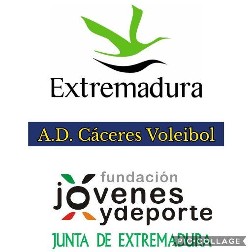 Twitter oficial de la AD Cáceres Voleibol  Patrimonio de la Humanidad de Superliga2 Masculina de voleibol.