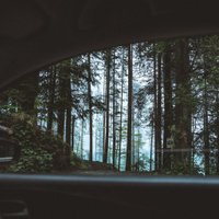 Whywouldthatbe? (@whywouldthatbe) 's Twitter Profile