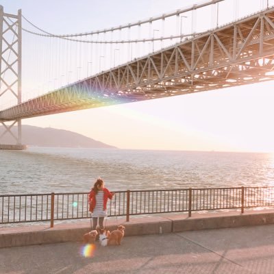 0mitam19's profile picture. 