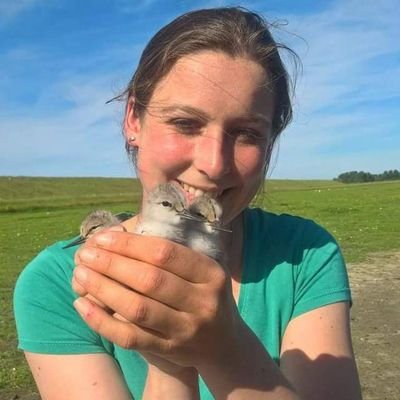 Researcher @SLUwildresearch, interest in #wildlife #ecology #conservation #computervision #ornithology, PhD done @niooknaw @AnimalEcol_NIOO @Radboud_Uni @Sovon
