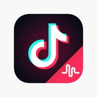 TikTok Funny Videos (@tiktokfunnyvid2) 's Twitter Profile