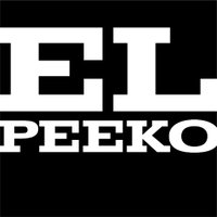El Peeko The Geeko 🦎🧪🎨🪐🛰️ (@peekodesigno) 's Twitter Profile Photo