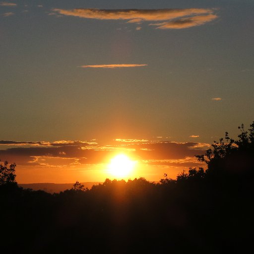 Noreastah143's profile picture. 