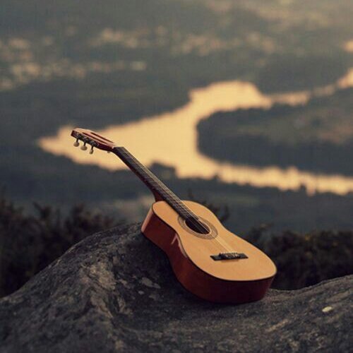 Liberal, 17, Amo livros, HGAWM, TWD, HIMYM💛💛 musicista.
A política não me estragou:
sempre fui insuportável