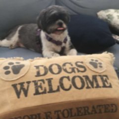 cathonpaper's profile picture. writer, mother, aspiring beach bum