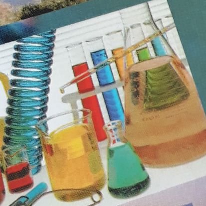 Aydn91406095's profile picture. 