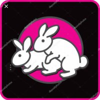 Sr&Sra Bunny (@srsrabunny1) 's Twitter Profile