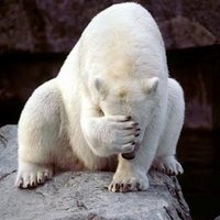 A Polar Bear (@eh_polar_bear) 's Twitter Profile Photo A Polar Bear (@eh_polar_bear) 's Twitter Profile Photo