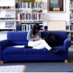 MFS Library (@mfslibrary) Twitter profile photo MFS Library (@mfslibrary) Twitter profile photo