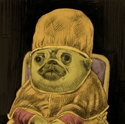 hamid shさんのプロフィール画像