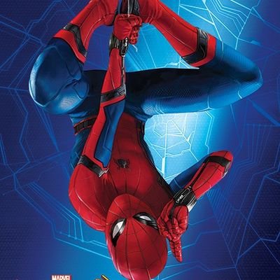Hi guys! Your friendly neighborhood Spider-Man here! What else is there to say? I mean, you clearly know me, right...hopefully?