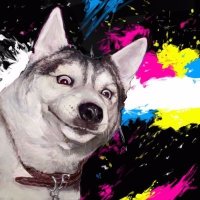 アボボ谷🖖KUNの犬 (@h_aburatani) 's Twitter Profile Photo アボボ谷🖖KUNの犬 (@h_aburatani) 's Twitter Profile Photo