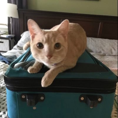 MikaDiazRoberts's profile picture. 