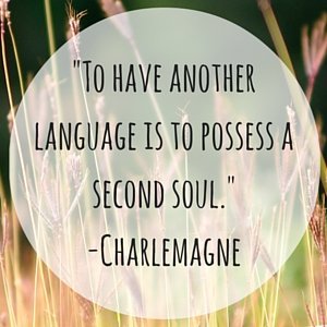 Blog and Podcast focusing on the joys and challenge of learning languages. French - Norwegian - Icelandic - Gaeilge