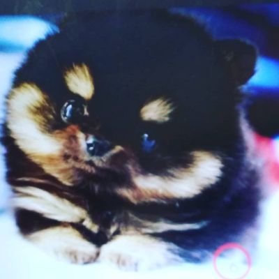 Adamari18123488's profile picture. I hope everyone is happy and spread some love and sharing is caring.