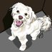 Audrey R Sutton #forTinu (@audreyrsutton) Twitter profile photo Audrey R Sutton #forTinu (@audreyrsutton) Twitter profile photo