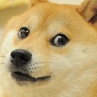 Cooldoge67(@Cooldoge67) 's Twitter Profile Photo