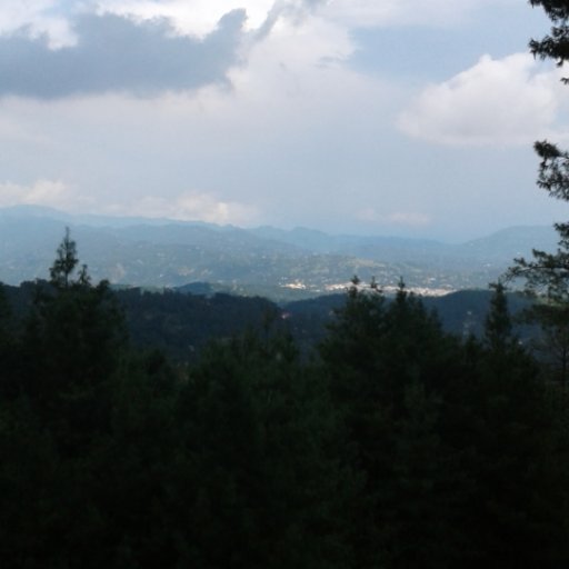 _az442's profile picture. 