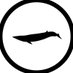 FinbackBrooklyn (@finbackbrooklyn) Twitter profile photo FinbackBrooklyn (@finbackbrooklyn) Twitter profile photo