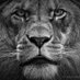 George Sotiropoulos (@georgesotiro7) Twitter profile photo George Sotiropoulos (@georgesotiro7) Twitter profile photo
