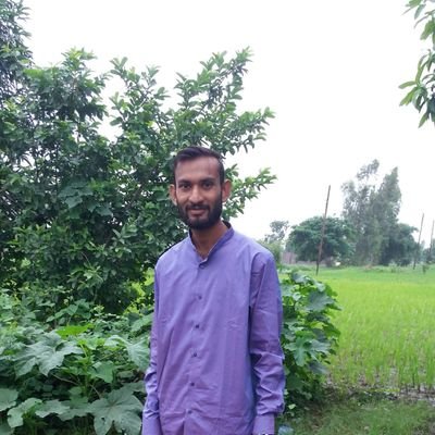 PaulGavit's profile picture. 