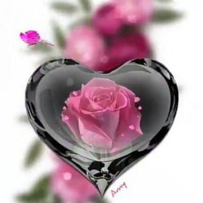 احن الشوفتك كل ساعه واشتاك
وصرت ويه الهوى مكتوب اوديلك ..
ساعه اكتب احبك ساعه اني اهواك!!
وساعه الروح تطلع مني تمشيلك..