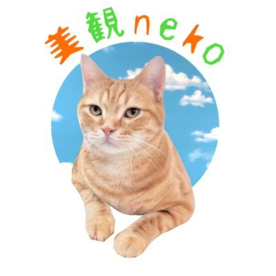 倉敷初のネコカフェ美観neko(みかんねこ)です🐈 猫ファーストのお店です。営業時間:11時〜20時定休日:月曜(月曜が祝日の場合は、火曜日が定休日になります) お一人様、男性大歓迎🎵 小学5年生〜入店可能です。