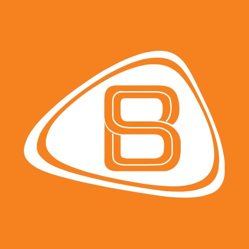 bransys_group Profile Picture