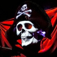 Pirate King(@piratek73549479) 's Twitter Profileg
