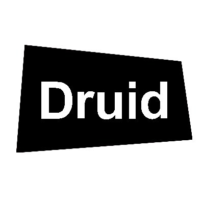 Druid Software
