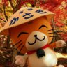 kasayanofficial's profile picture. こんにちはニャン！ぼくの名前は「笠やん」笠置山に住んでる化け猫なのニャン♪ SNSを通じて大好きな京都府 笠置町のPRをしていくニャン☆リプライやメッセージには個別に対応できませんニャン、ごめんニャさいニャン。Instagram https://t.co/8XoWDc6bZ2