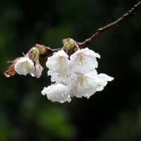 k893k (@k893k) 's Twitter Profile Photo