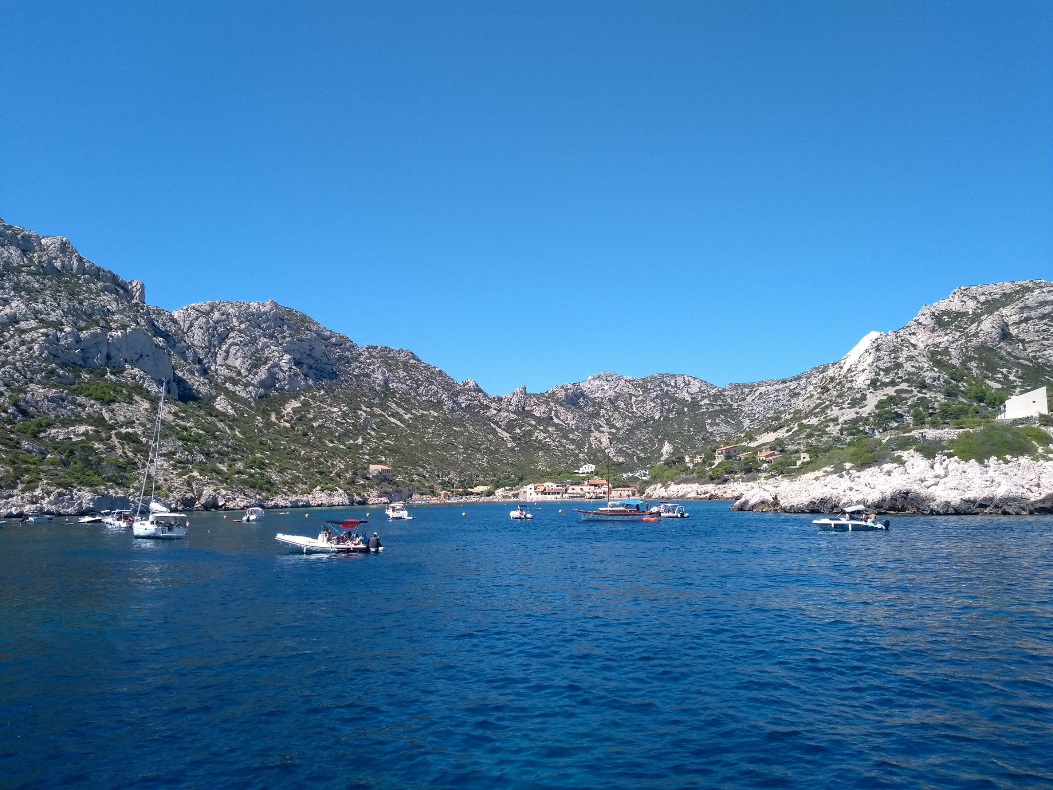 karamelltee's profile picture. 