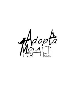 AdoptaMola es una organización sin ánimo de lucro, constituida para ayudar a los animales más desfavorecidos y poder ofrecerles una segunda oportunidad.