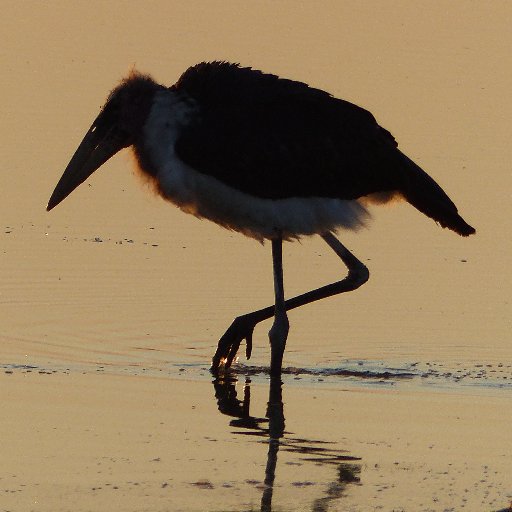 4XView1's profile picture. Forex Market Outlook for proprietary traders. Just keeping ourselves honest. No crybabies ! Not buying or selling anything. Re/Tweets are not financial advice.