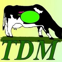 Rosemary Allen - @TDMCows Twitter Profile Photo