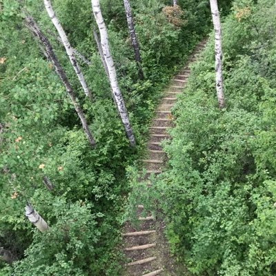 AlexisGeRobert's profile picture. Français au Canada. Economie du web