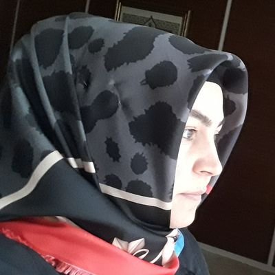 İKİZLER BURCU