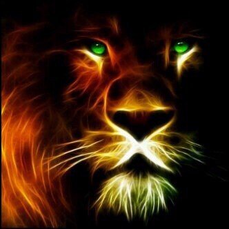 darochaoke's profile picture. kind heart, a giver