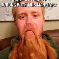 Wee Ayrshire ANDY P (@proudscotsaysno) 's Twitter Profile Photo