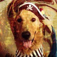 Kestrel42 (@mywickedtribe) 's Twitter Profile