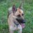 Athena_GSD