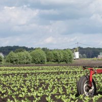 Tractor (@tractor) 's Twitter Profile