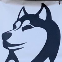 P.S. 91Q Huskies(@PS91Q) 's Twitter Profile Photo