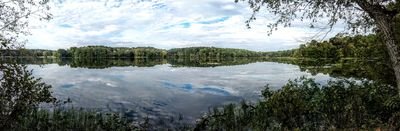 LoyalAmeican's profile picture. Against racism and corruption that flows from the top of our government. Let's return to common decency, honesty, and integrity.#TheResistance   🌊