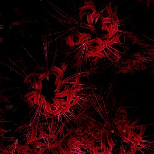 返答が遅いことが多々ある
IT/DIR EN GREY/sukekiyo/無期迷途/鳴潮
2=@lisz_works, Insta=l1sl1s
ほしいもの: https://t.co/tVG20bHAF8